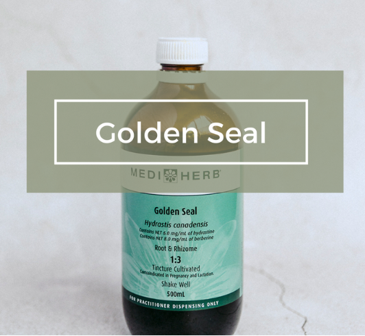 MediHerb Golden Seal 1:3 500ml