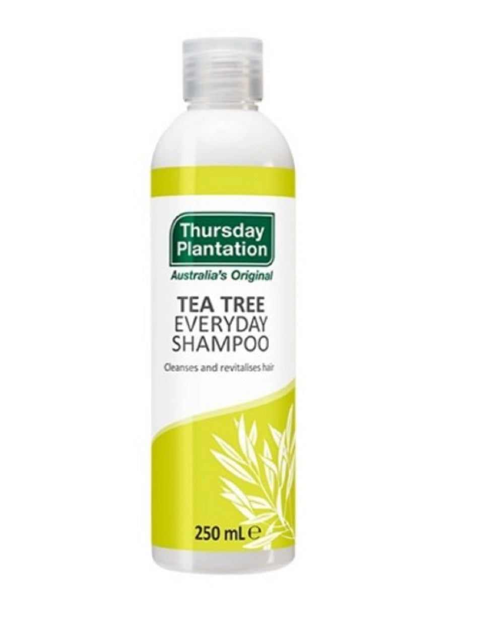 Thursday Plantation Tea Tree Everyday Shampoo 250ml